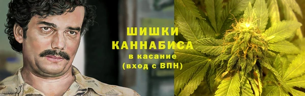apvp Гусь-Хрустальный