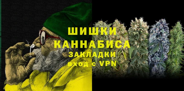 СК Гусев
