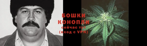 apvp Гусь-Хрустальный
