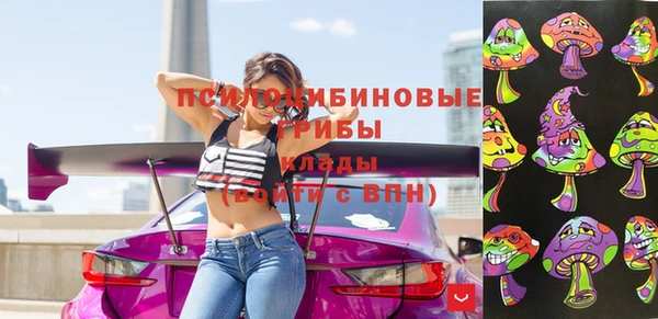 apvp Гусь-Хрустальный
