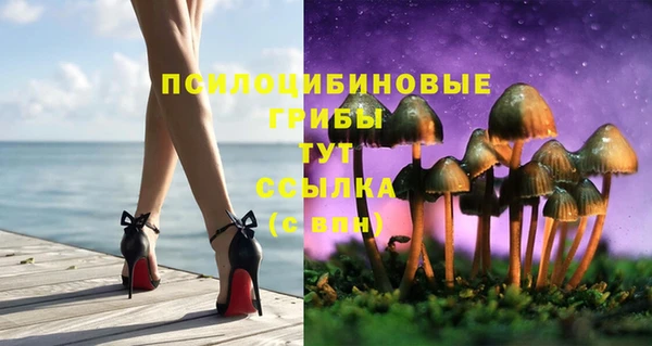 apvp Гусь-Хрустальный