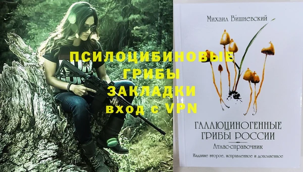 амфетамин Гусиноозёрск