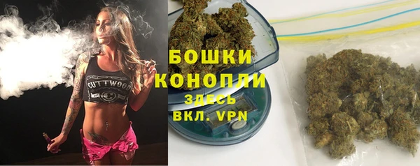 apvp Гусь-Хрустальный