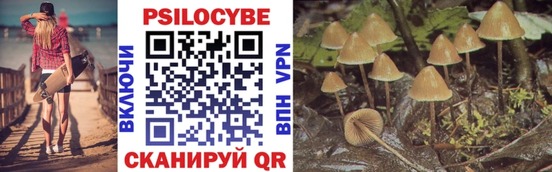 Псилоцибиновые грибы GOLDEN TEACHER  Купить где  Красный Кут 